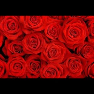 Meet your Posher, Mona